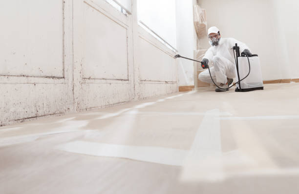 24/7 Emergency Mold Remediation experts in Joint Base Mdl, NJ